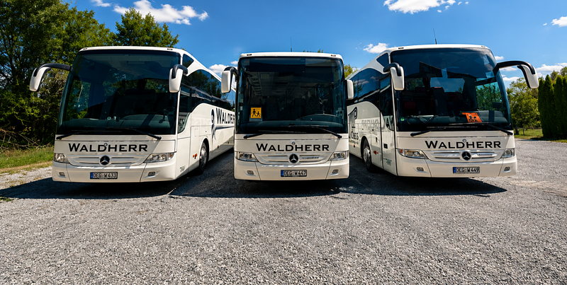 Drei weiße Reisebusse von Waldherr nebeneinander auf einem Hof, dahinter blauer Himmel